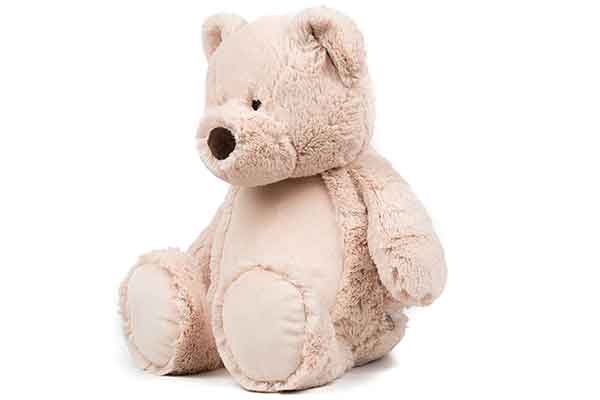 Teddy bear for embroidery